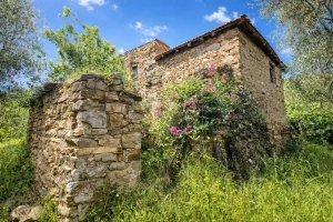 CERIANA - Rustico per costruzione abitazione - VENDITA
