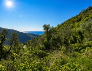 CERIANA - Terreno con vista mare per casa da 80/100 mq con 2 piccoli rustici - VENDITA