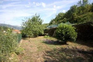 BORGOMARO - Casa con giardino - CASA VENUTA IN COLLABORAZIONE