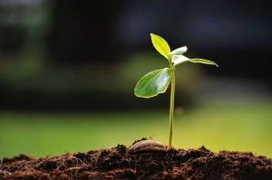 CONIO - Terreni agricoli 63.500 mq - VENDITA
