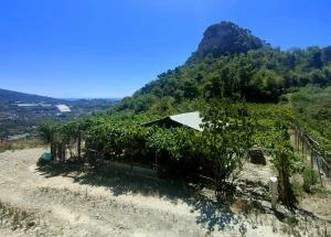 SAN BIAGIO DELLA CIMA - Fabbricato con terreno/orto - VENDITA